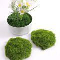 1/5packs 30g or 50g Artificial Green Plants Eternal Life Moss DIY Crafts Mini Landscape Garden Home Room Decoration Simulation Green Moss. 