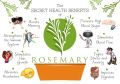 Dried Rosemary Leaves - 20g Pack of 100% Natural Herbal Seasoning. 