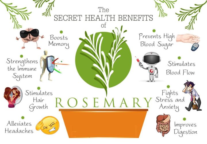 Dried%20Rosemary%20Leaves%20-%2020g%20Pack%20of%20100%25%20Natural%20Herbal%20Seasoning%20-%20Image%203