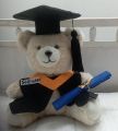 Graduation Teddy Bear/Personalized graduation teddy bear. 