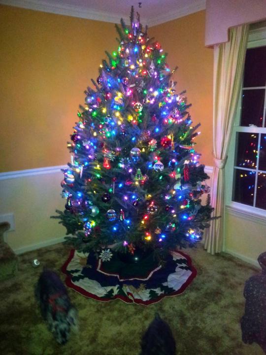 Wilko%20100%20LED%20Multicoloured%20Multifunctional%20LED%20Christmas%20Lights%20with%20Black%20Cable%20-%20Image%205