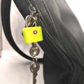 TSA Customs Lock Security Lock Suitcase Luggage Coded Lock Cupboard Cabinet Locker Padlock Travel Bag Lock with 2 Keys. 