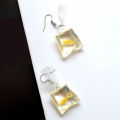 Creative Earrings Piercing Lovely Fish Water Bag Hook Earrings. 