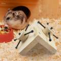 Hamster Wooden Foraging Toy Exercise Wheel Toy for Small Pet Rats Chinchilla. 