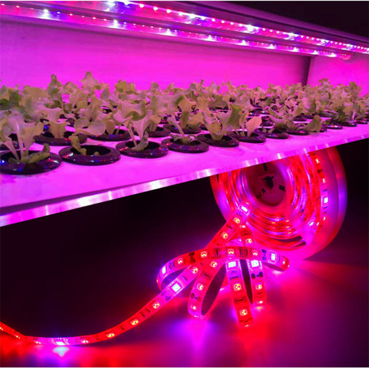 12V%205050%205m%20LED%20Strip%20Grow%20light%20Full%20Spectrum%20LED%20Flower%20Plant%20Phyto%20Growth%20lamp%20For%20Greenhouse%20Hydroponic%20Plant%20Growing%20-%20Image%207