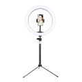 10-Inch RGB Ring Light with Vibrant Color Modes, Sturdy Tripod, and Adjustable Phone Holder for High-Quality Social Media Content. 