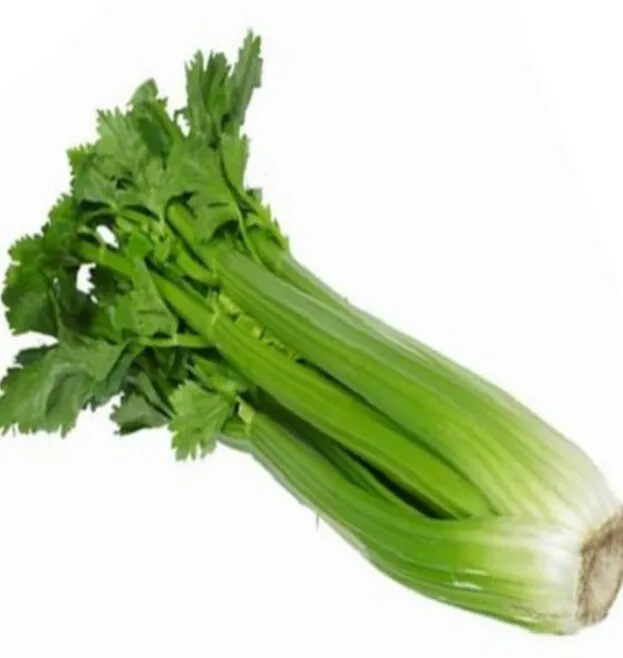 Selari%20Seeds%20For%20Home%20Garden%20-%20Image%204