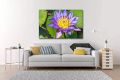 Modern HD Printed Home Decor Wall Art Picture Frame Box Novelty Gift 30x45 cm. 