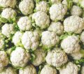 Cauliflower / Mal Gova Seeds For Home Garden. 