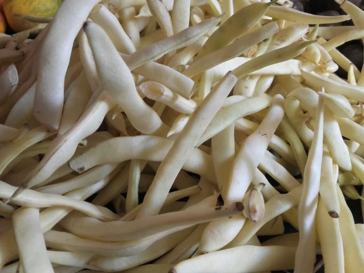 Butter%20Beans%20/%20Wal%20Bonchi%20Butter%20Seeds%20-%20Image%204