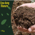 Cow Dung Manure Fertilizer Organic /ගොම පොහොර/goma pohora/Agriculture/Fertilizer/gardening-1kg/3Kg/5Kg. 