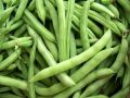 Green Beans bush / Gas Bonchi Seeds. 