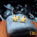 Gold Plated Modyle Stylish Star Theme Stud Earrings For Women. 