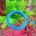 Aquarium Feeding Ring Plastic Fish Tank Station Floating Food Tray Feeder Round. 