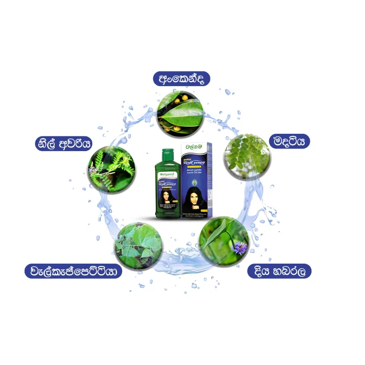 Hair%20oil/Herbal%20hair%20oil/Aromatic%20neelyadee%20oil%20-%20Image%204