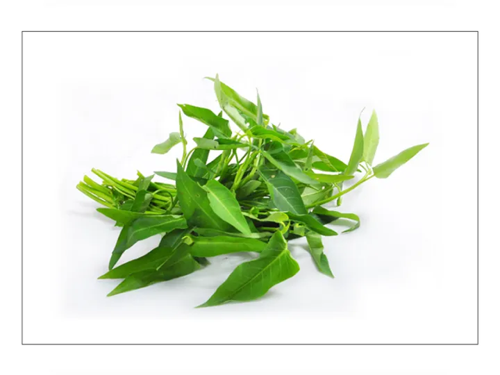 Kankun%20Seeds%20For%20Home%20Garden%20-%20Image%204