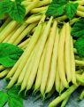 Butter Beans / Wal Bonchi Butter Seeds. 