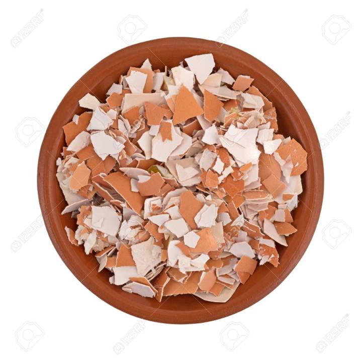 Egg%20shell%20Manure%20Fertilizer%20Organic%20/Agriculture/Fertilizer-500g%20-%20Image%203