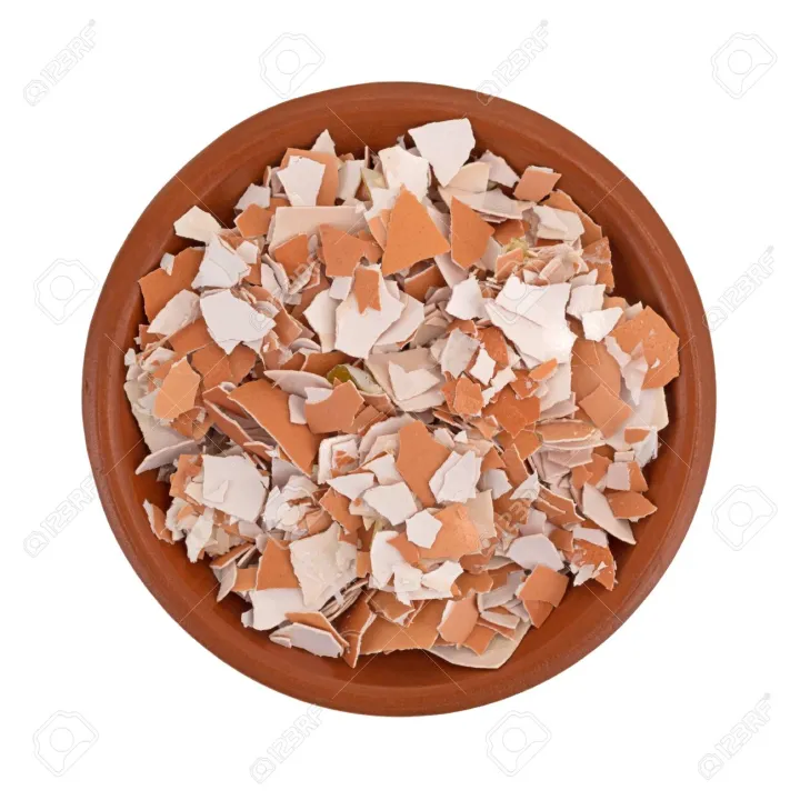 Egg%20shell%20Manure%20Fertilizer%20Organic%20/Agriculture/Fertilizer-500g%20-%20Image%203