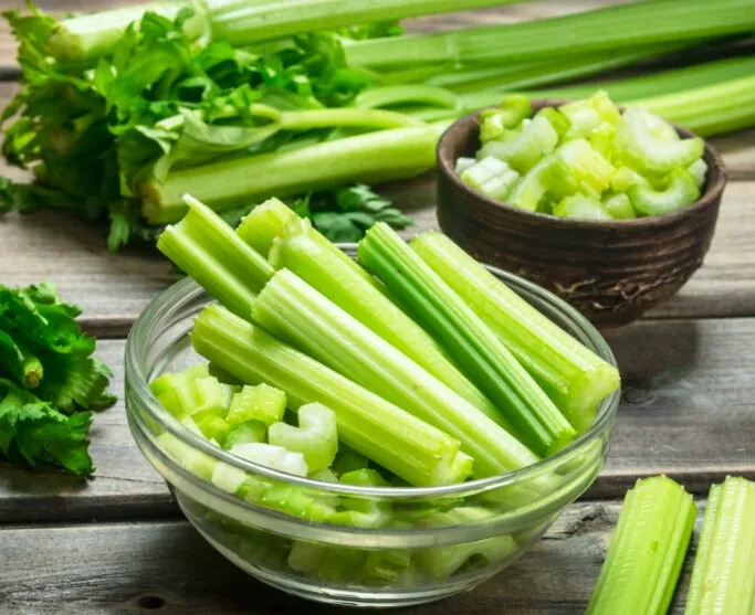 Selari%20Seeds%20For%20Home%20Garden%20-%20Image%207