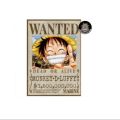 One Piece Wanted Poster. 