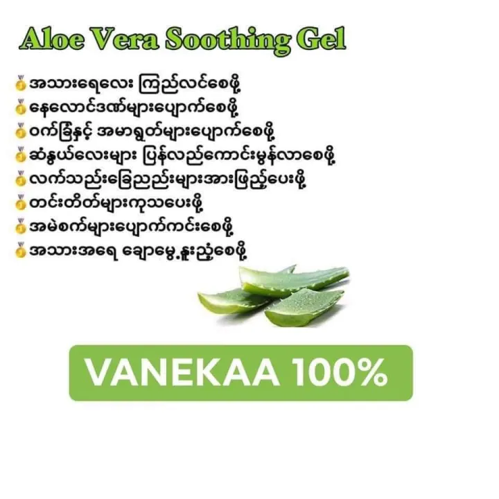 Vanekaa%20Aloe%20Vera%20100%25Gel%20(300ml%20Direct%20from%20Bkk)%20-%20Image%205