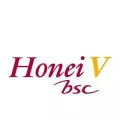 Honei V bsc Facial Foam. 