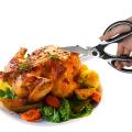 Multipurpose Kitchen Xcissors Stainless Steel Sharp Heavy Duty Kitchen Shears Bottle Opener. 