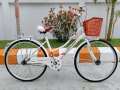 26 Inch Lady Bicycle (City Bike) with Basket. 