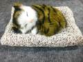 Clover Display Mold Sleeping Cat Design Purifying Air Plastic CartoonSimulation Animal Model for Car Kitten Models Home Decoration Toy(အနံ့စုပ်ကြောင်ရုပ်လေး). 