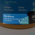 Raw Sienna – 300ml – Acrylic Paint – Mont Marte. 