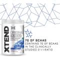 XTEND Original BCAA Powder Blue Raspberry 30 servings. 