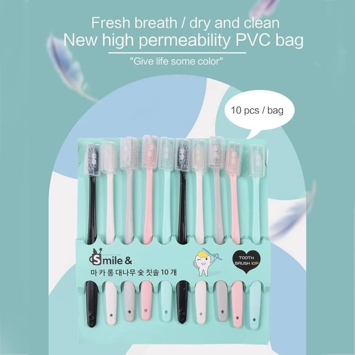 Japan Style Soft Toothbrushes (10 in 1)