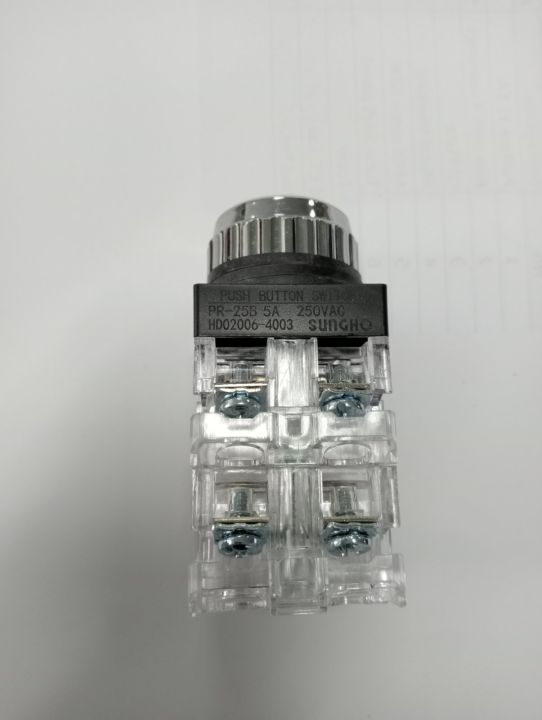 PUSH%20BUTTOM%20SWITCH%20(DIA%2025)(PBS%2030-%20PR-25B-2-R)%20-%20Image%204
