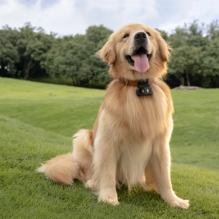 (Preorder)%20DJI%20Osmo%20Nano%20Standard%20Combo%20128GB,%20Thailand%20Warranty%20by%20AquaproThailand.%20-%20Image%204