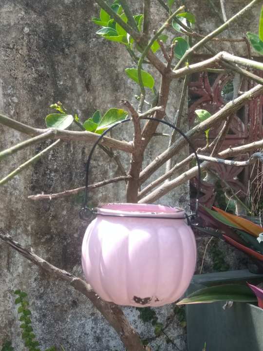 %E1%80%9B%E1%80%BD%E1%80%BE%E1%80%B1%E1%80%96%E1%80%9B%E1%80%AF%E1%80%B6%20%E1%80%9E%E1%80%AE%E1%80%B8%20%E1%80%81%E1%80%BB%E1%80%AD%E1%80%90%E1%80%BA%E1%80%95%E1%80%94%E1%80%BA%E1%80%B8%E1%80%A1%E1%80%AD%E1%80%AF%E1%80%B8%20%20%20%20(%20Indoor%20&%20Outdoor%20plant%20pot)%20-%20Image%205