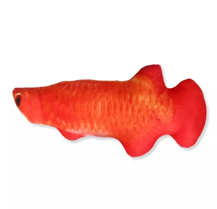 Pet%20toy(%E1%80%80%E1%80%BC%E1%80%B1%E1%80%AC%E1%80%84%E1%80%BA%E1%80%86%E1%80%B1%E1%80%B8%E1%80%95%E1%80%84%E1%80%BA%E1%80%84%E1%80%AB%E1%80%B8%E1%80%9B%E1%80%AF%E1%80%95%E1%80%BA)%20-%20Image%205