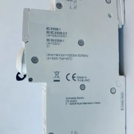 Schneider%20RCBO%20IC60H2%20-%20earth%20leakage%20circuit%20breaker%20-%202P%20-%20C%20curve%20-%2016%20A%20-%2030m%20A%20-%20240%20V%20-%20Image%203