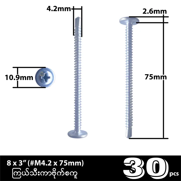 %E1%80%80%E1%80%BC%E1%80%9A%E1%80%BA%E1%80%9E%E1%80%AE%E1%80%B8%E1%80%80%E1%80%AC%E1%80%97%E1%80%AD%E1%80%AF%E1%80%80%E1%80%BA%E1%80%85%E1%80%80%E1%80%B0%20Cross%20Recessed%20Wafer%20Head%20Self%20Drilling%20Screw%20-%20Image%202