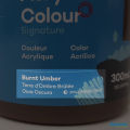 Burnt Umber – 300ml – Acrylic Paint – Mont Marte. 