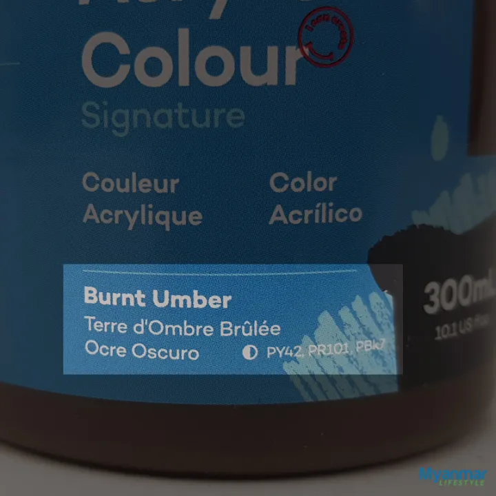 Burnt%20Umber%20%E2%80%93%20300ml%20%E2%80%93%20Acrylic%20Paint%20%E2%80%93%20Mont%20Marte%20-%20Image%206
