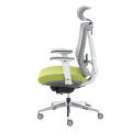 (Preorder) Ergotrend Health Chair, Ergotrend, Model ERGO-X GREEN, Green. 