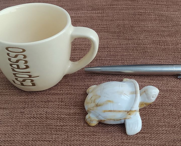 Fossilized  wood turtle large dome size,  အင်ကြင်းကျောက် လိပ် အထူ အမြင့်