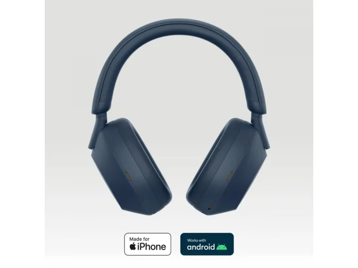 WH-1000XM5 Wireless Noise Cancelling Headphones