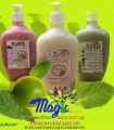 Green Tea Shampoo (Organic&Natural Care)500ml. 