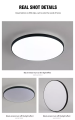 24W IP65 LED Light. 