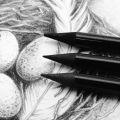 Woodless Charcoal Pencils -  3pc - Mont Marte. 