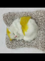 Clover Display Mold Sleeping Cat Design Purifying Air Plastic CartoonSimulation Animal Model for Car Kitten Models Home Decoration Toy(အနံ့စုပ်ကြောင်ရုပ်လေး). 