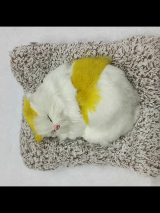 Clover%20Display%20Mold%20Sleeping%20Cat%20Design%20Purifying%20Air%20Plastic%20CartoonSimulation%20Animal%20Model%20for%20Car%20Kitten%20Models%20Home%20Decoration%20Toy(%E1%80%A1%E1%80%94%E1%80%B6%E1%80%B7%E1%80%85%E1%80%AF%E1%80%95%E1%80%BA%E1%80%80%E1%80%BC%E1%80%B1%E1%80%AC%E1%80%84%E1%80%BA%E1%80%9B%E1%80%AF%E1%80%95%E1%80%BA%E1%80%9C%E1%80%B1%E1%80%B8)%20-%20Image%203