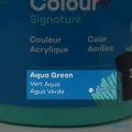 Aqua Green – 300ml – Acrylic Paint – Mont Marte. 